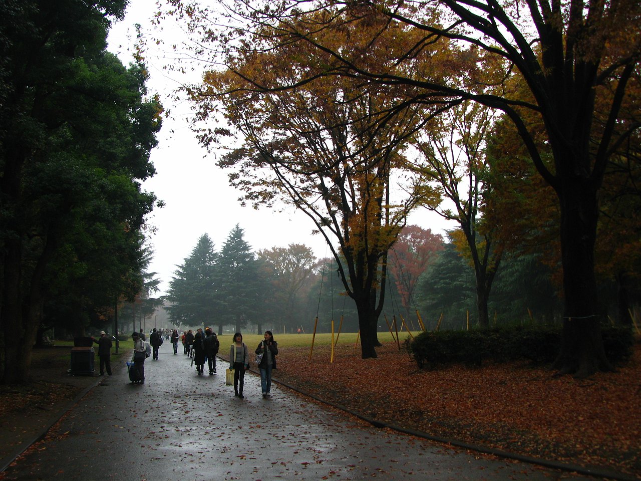 timeless yoyogi autmn.JPG